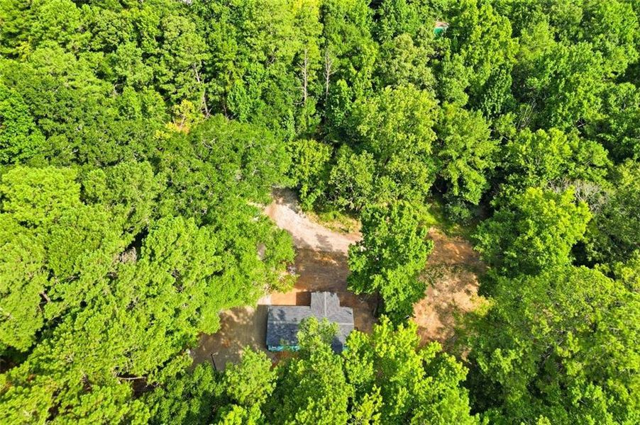 Natural landscape and outdoor views near  in Conyers (Image 20).