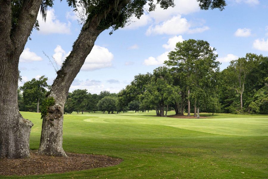 Natural landscape and outdoor views near in Charleston (Image 130). Natural landscape and outdoor views near in Charleston (Image 130).
