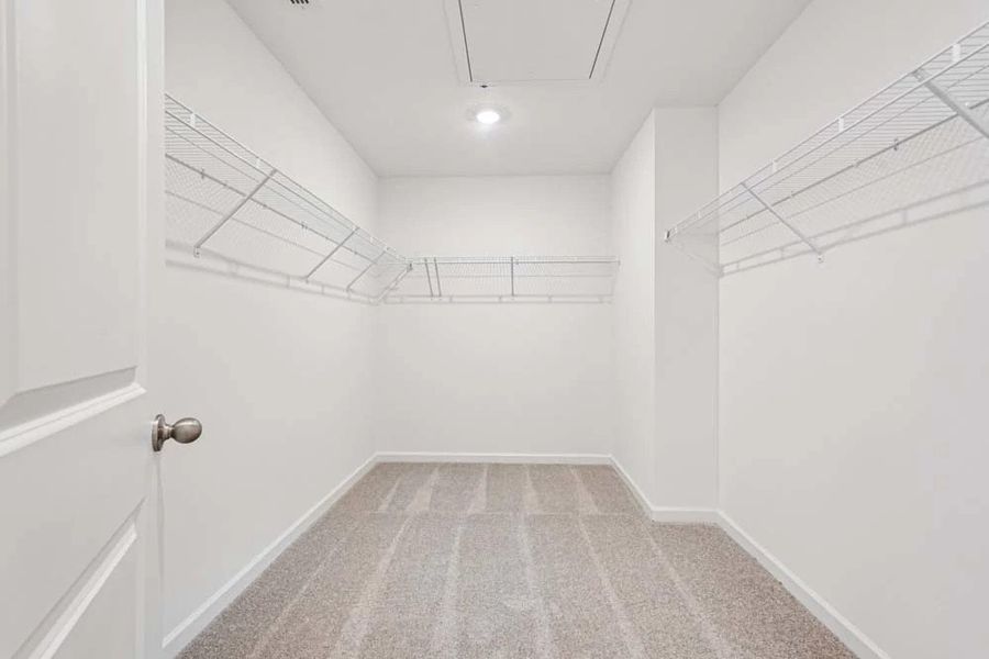 Primary Bedroom Walk-In Closet