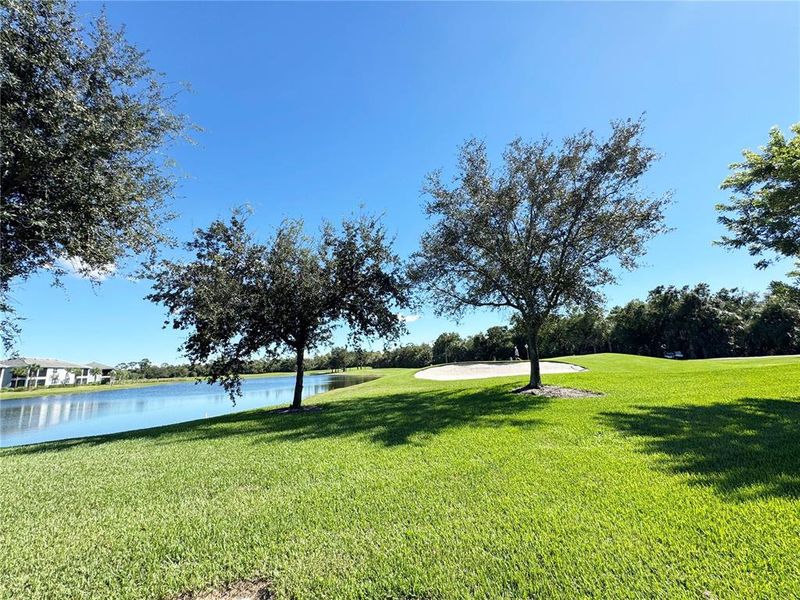 Natural landscape and outdoor views near  in Punta Gorda (Image 22).