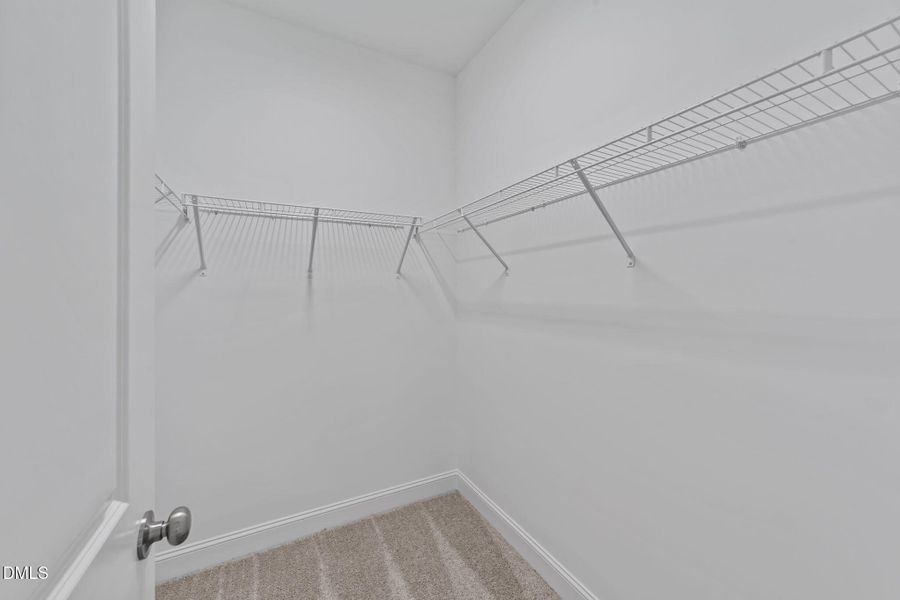 38-web-or-mls-VB4A1181