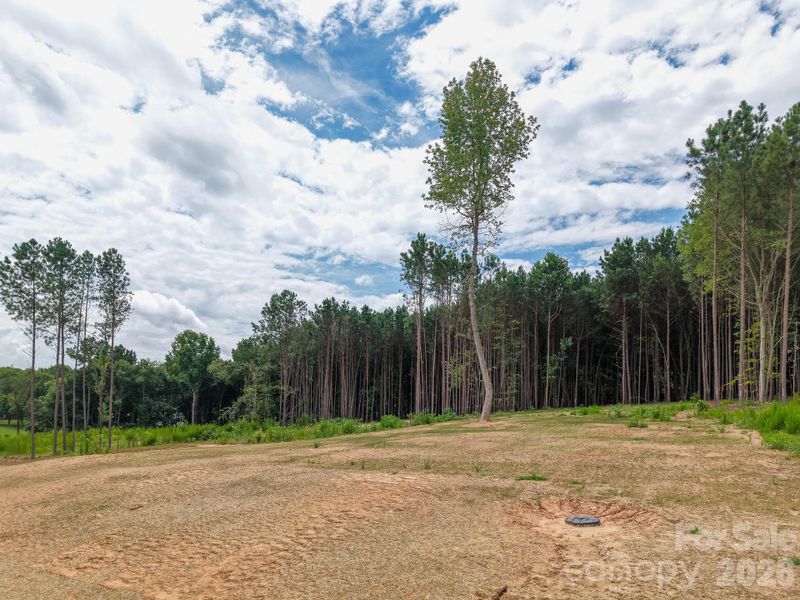Natural landscape and outdoor views near  in Sherrills Ford (Image 42).