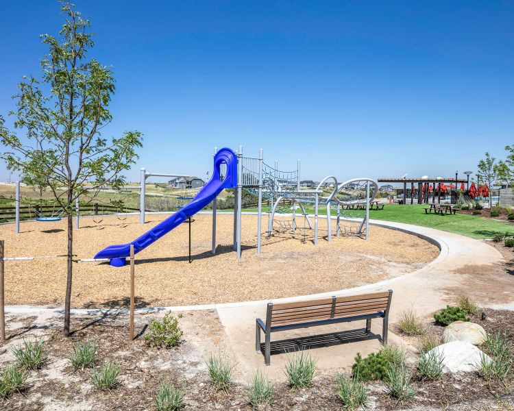 Community amenities in Macanta, Castle Rock (Image 45).