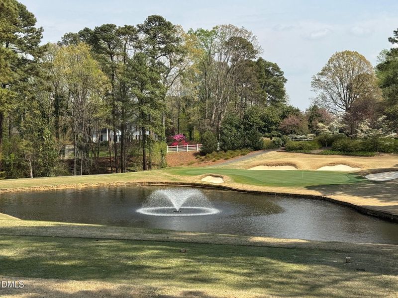 Scenes Of North RIdge