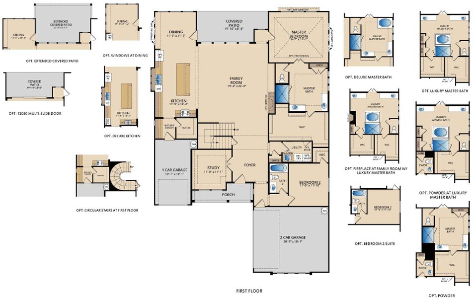 Driscoll First Floor