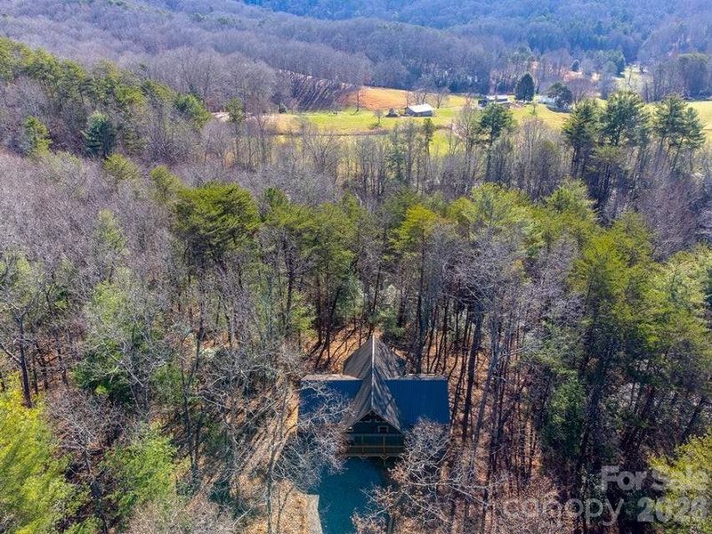 Natural landscape and outdoor views near  in Murphy (Image 32).