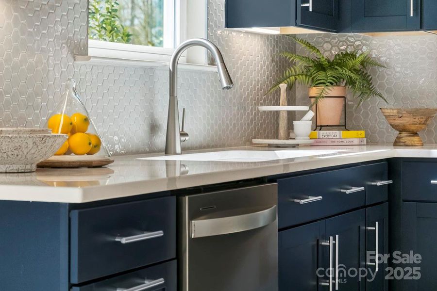 This picture is a representation of the house