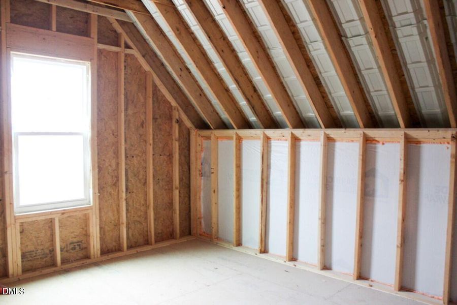 IMG_7354 (Medium) IMG_7354 (Medium)