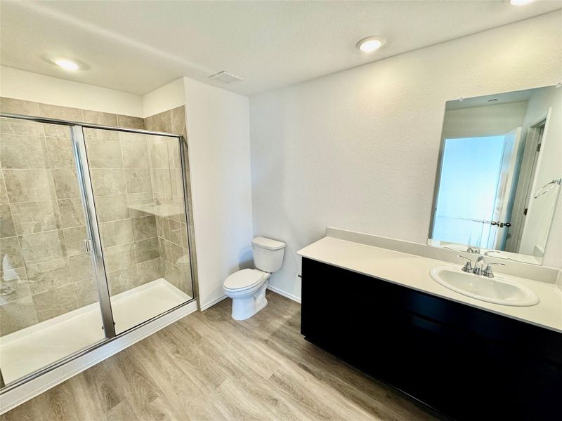 Bathroom featuring a shower stall, light wood-style floors, and vanity
