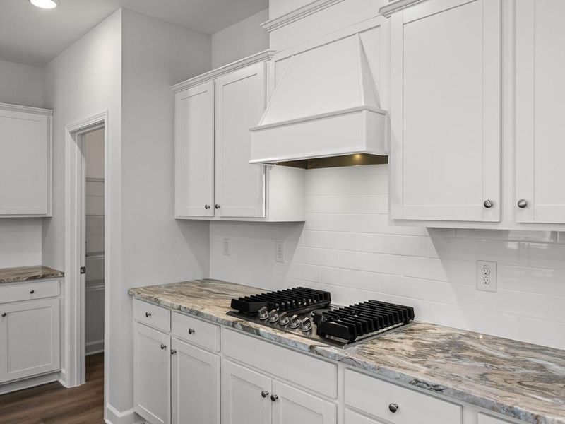 Furnished interior view inside a new home in Gregory Village, Lillington (Image 5).