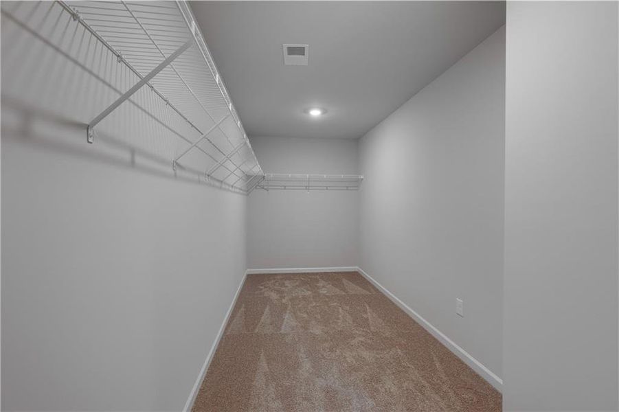 Spacious, unfurnished interior of a new home in Alcovy Village, Lawrenceville (Image 18).