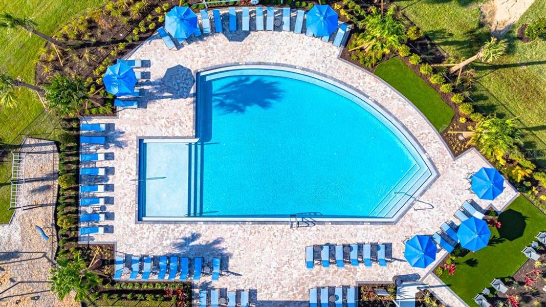 Community amenities in Indigo Creek, Apollo Beach (Image 28).