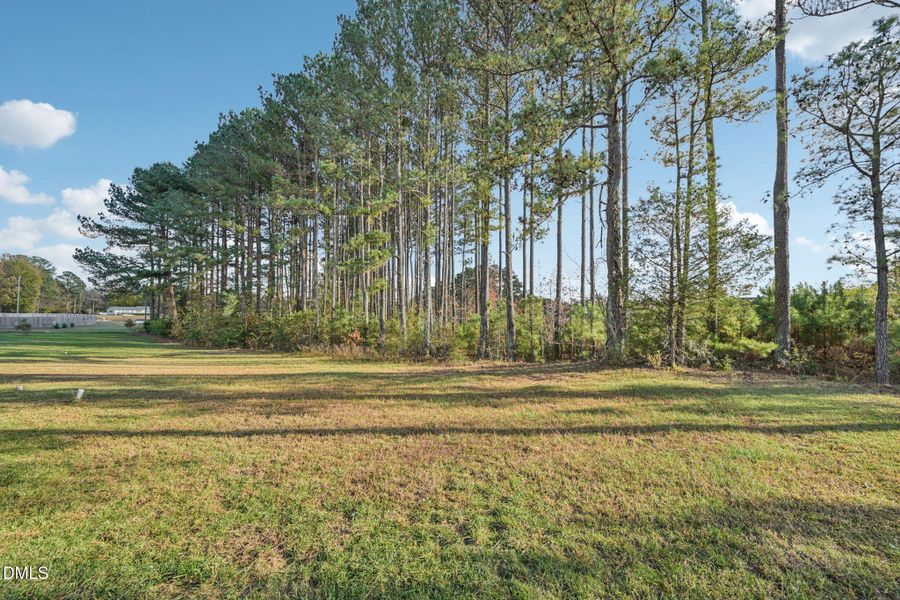 41-web-or-mls-Fescue-S1111-041