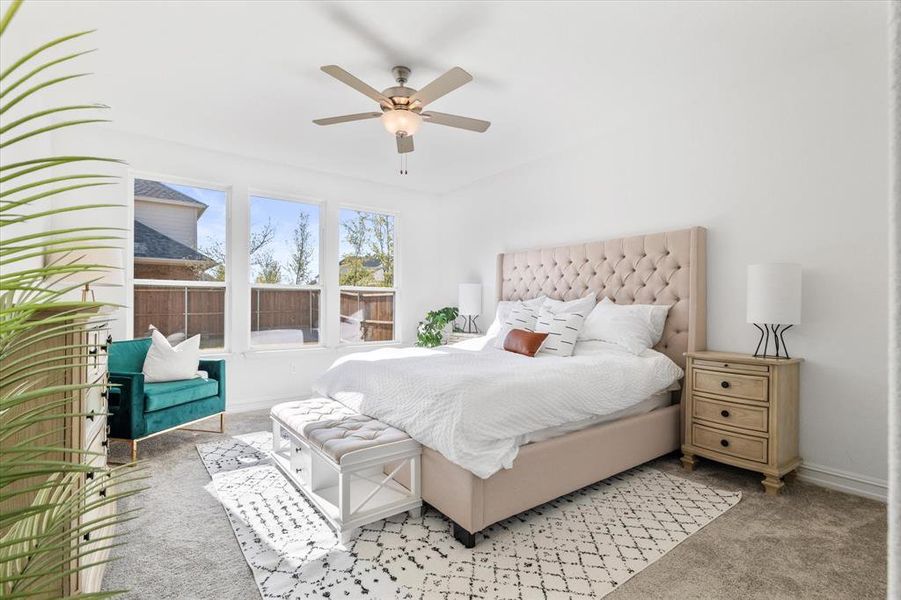 Bright bedroom featuring three large windows, a ceiling fan with integrated lighting, and neutral-toned carpeting