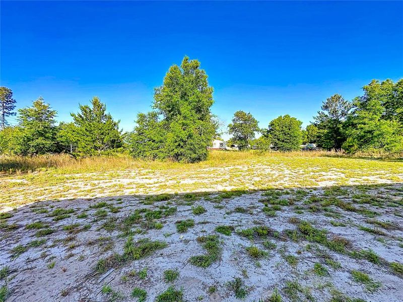Natural landscape and outdoor views near  in Pomona Park (Image 34).