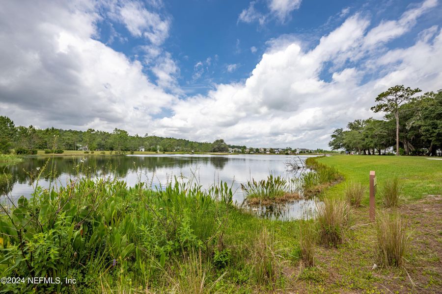 Natural landscape and outdoor views near TrailMark in St. Augustine (Image 60).