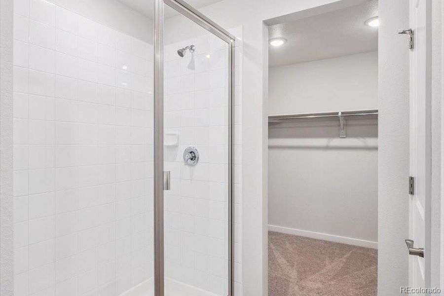 Spacious, unfurnished interior of a new home in Farmlore, Brighton (Image 19).