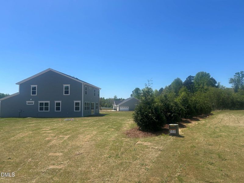 RVF 36 Tree line property line