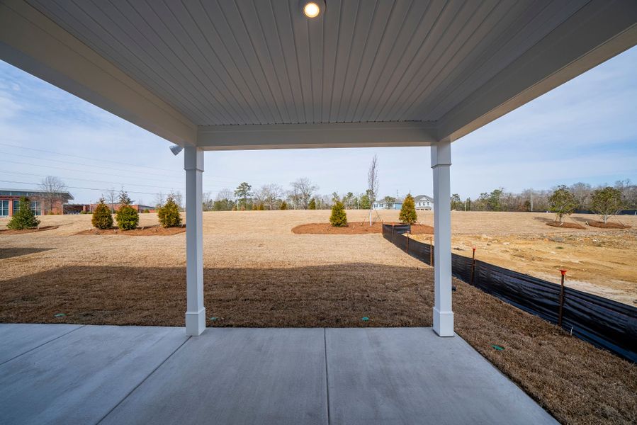 Exterior details and patio area of a home in Monroe Preserve, Chapin (Image 31).