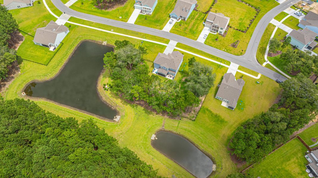 Image 81 of a home in Sea Island Preserve.