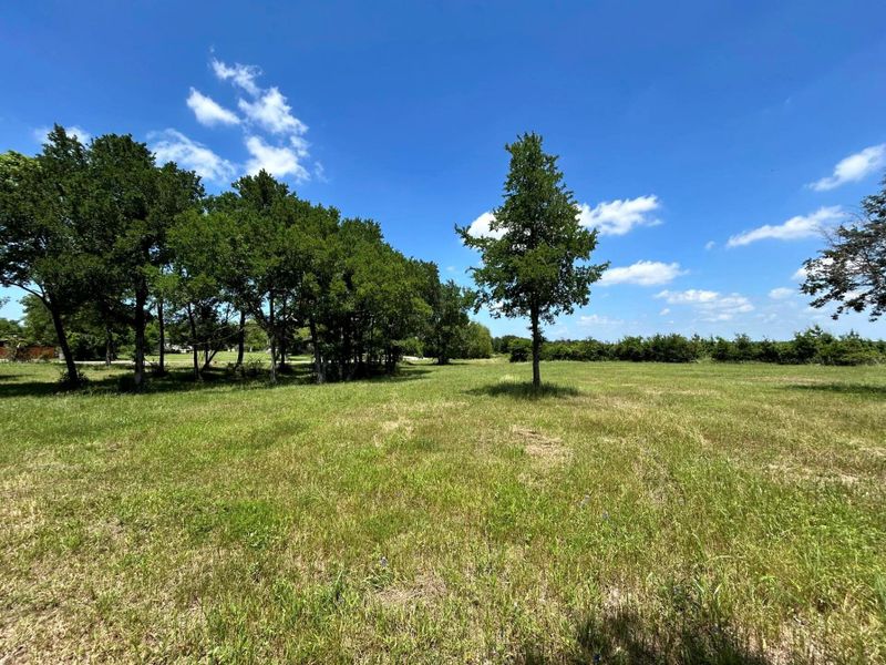 Natural landscape and outdoor views near in Mexia (Image 15). Natural landscape and outdoor views near in Mexia (Image 15).