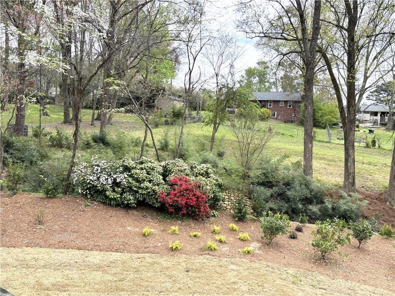 Natural landscape and outdoor views near  in Roswell (Image 33).