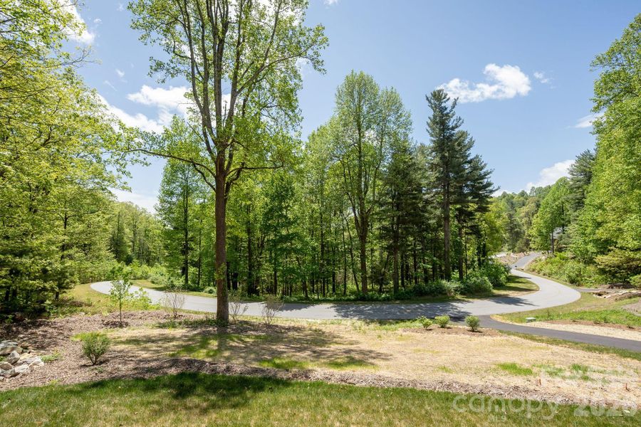 Natural landscape and outdoor views near  in Flat Rock (Image 36).