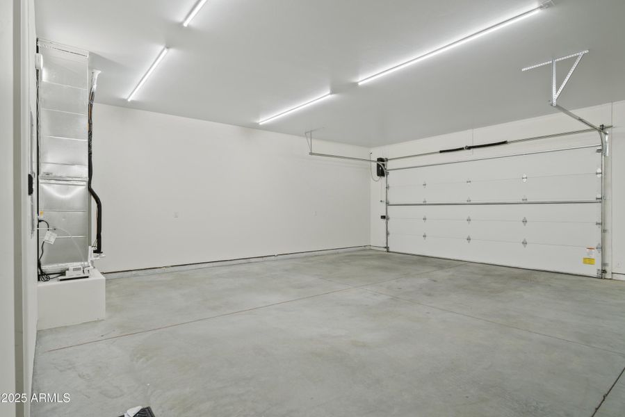 Lupine Ln Reshoot 00012