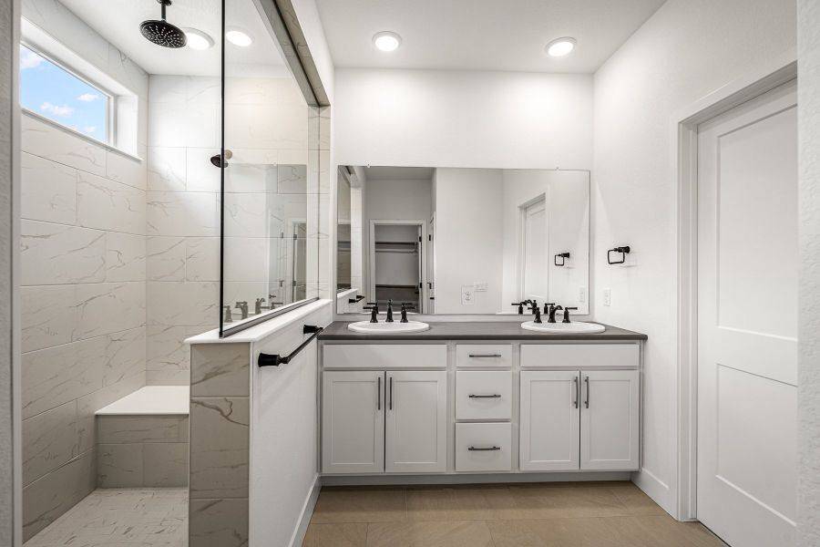 Owner's Bath