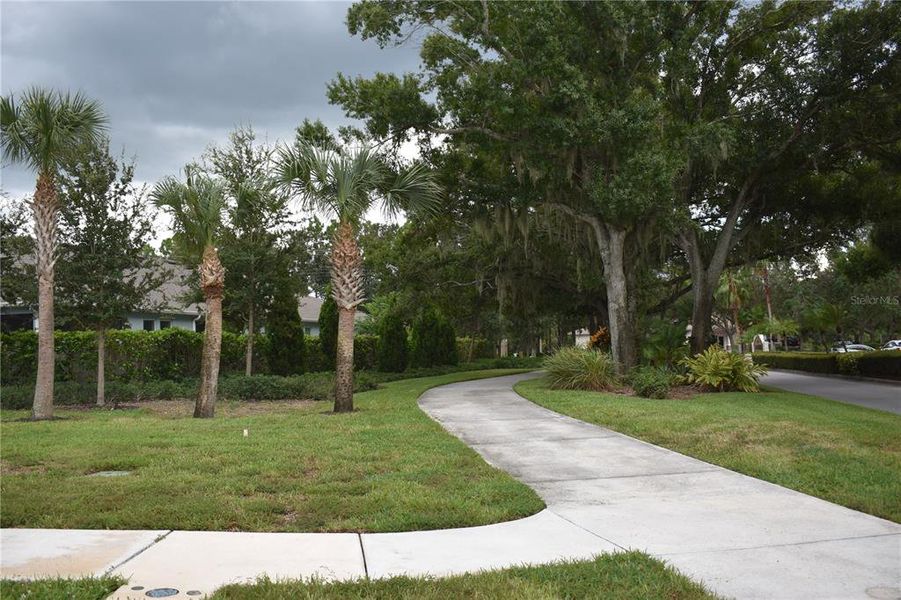 Natural landscape and outdoor views near The Preserve at La Paloma in Sun City Center (Image 44).
