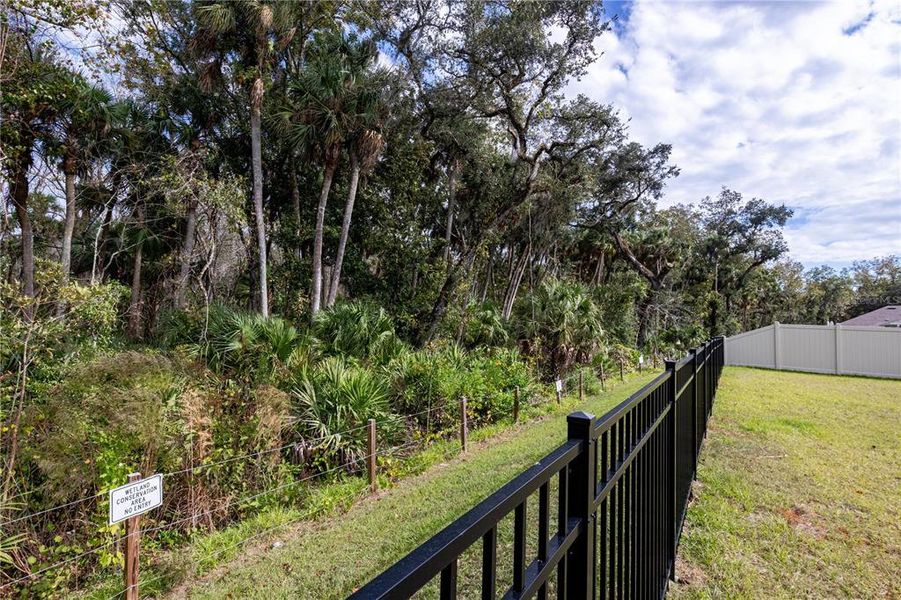 Natural landscape and outdoor views near in Titusville (Image 33). Natural landscape and outdoor views near in Titusville (Image 33).