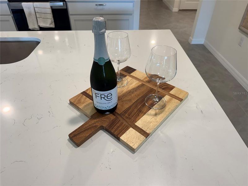 Close-up of interior finishes inside a home in Marion County Spot Lots, Ocala (Image 13).