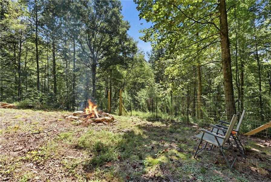 Natural landscape and outdoor views near  in Ellijay (Image 55).