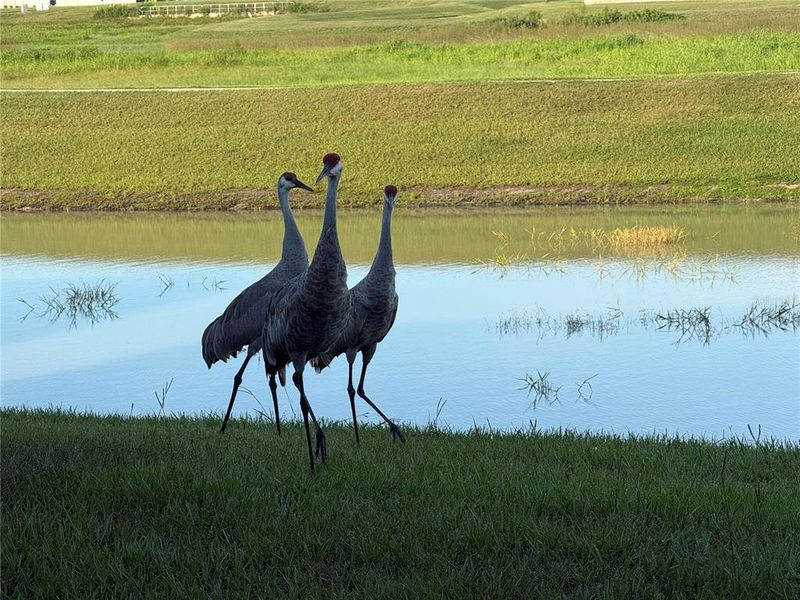 Image 55 of a home in .