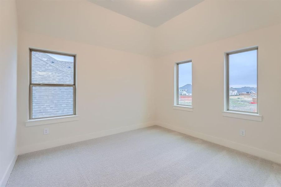 Carpeted spare room featuring a wealth of natural light