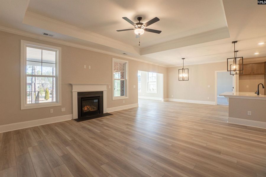 Spacious, unfurnished interior of a new home in The Cove, Sumter (Image 28). Spacious, unfurnished interior of a new home in The Cove, Sumter (Image 28).