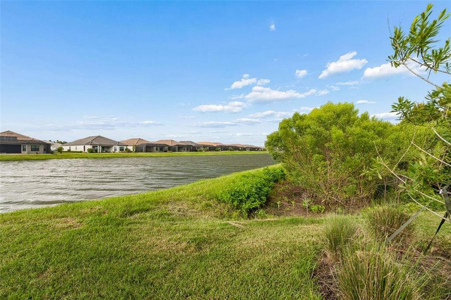 Natural landscape and outdoor views near in Wesley Chapel (Image 88). Natural landscape and outdoor views near in Wesley Chapel (Image 88).