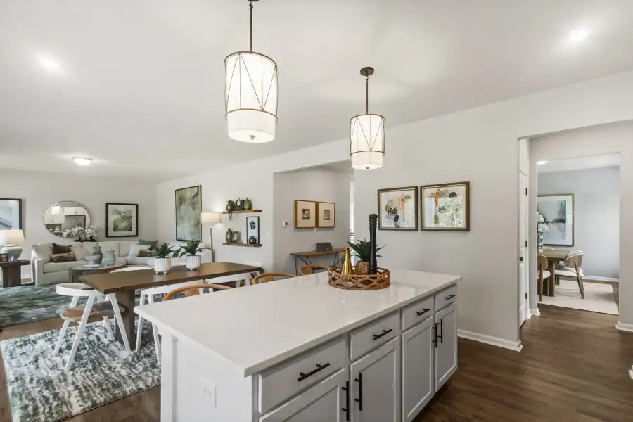 Furnished interior view inside a new home in Bridgeport Single Family Homes, Greenville (Image 13).