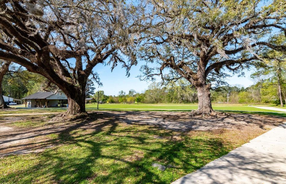 Natural landscape and outdoor views near The Landings at Montague in Goose Creek (Image 36).