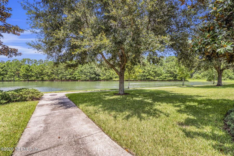 Natural landscape and outdoor views near Rolling Hills in Green Cove Springs (Image 53).