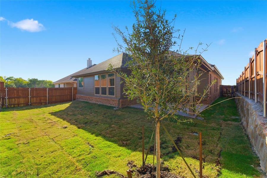 Exterior details and patio area of a home in Waterford Park, Weatherford (Image 4). Exterior details and patio area of a home in Waterford Park, Weatherford (Image 4).