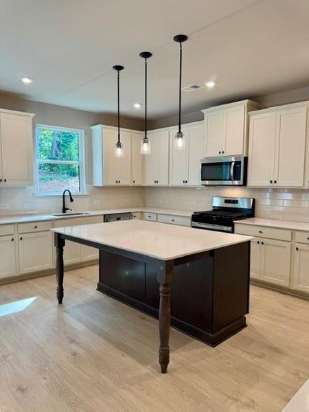 Furnished interior view inside a new home in The Overlook at Factory Shoals, Mableton (Image 8).