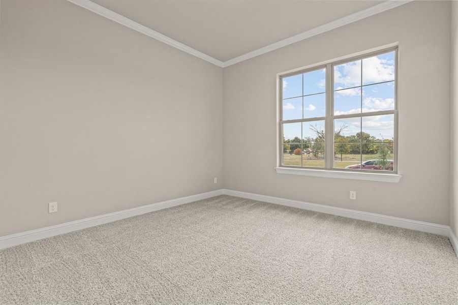 Carpeted empty room featuring baseboards and crown molding