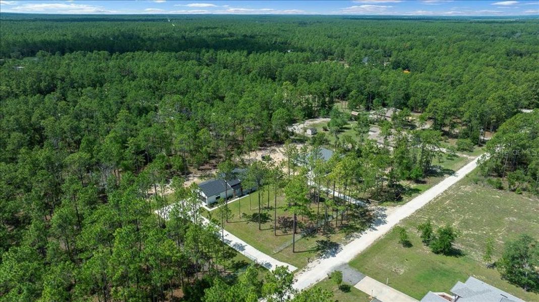 Natural landscape and outdoor views near  in Ocala (Image 31).