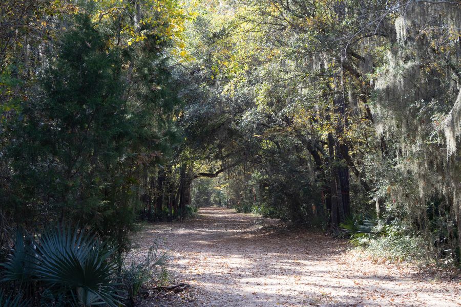 Natural landscape and outdoor views near Discover Series in Charleston (Image 12).