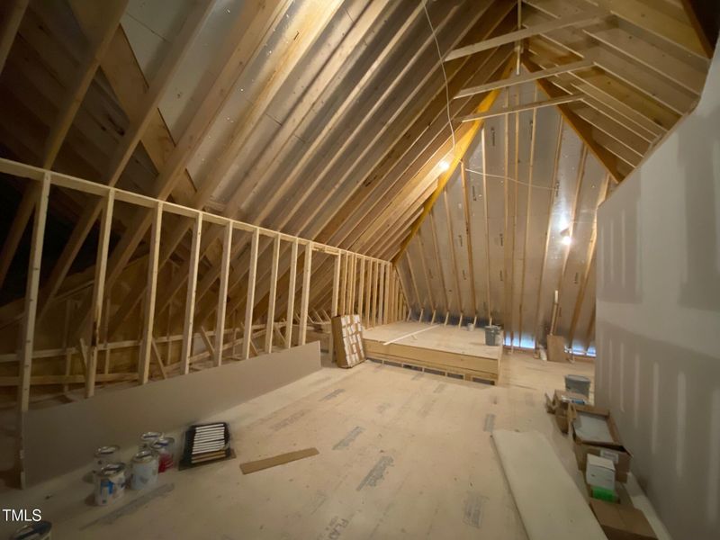 Unfinished walk in storage