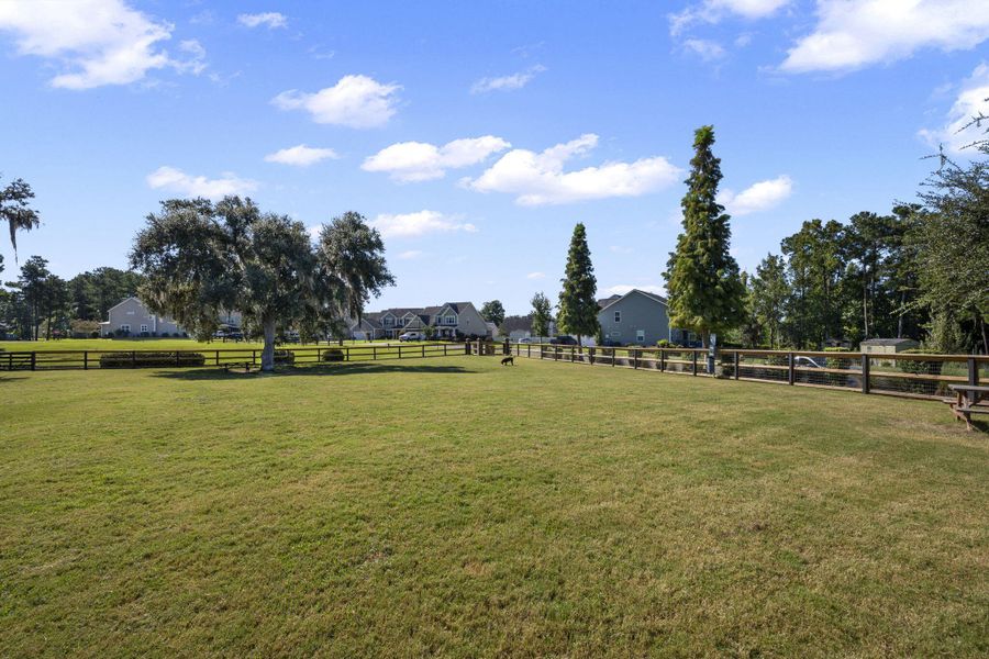 Natural landscape and outdoor views near High Point at Foxbank in Moncks Corner (Image 57).