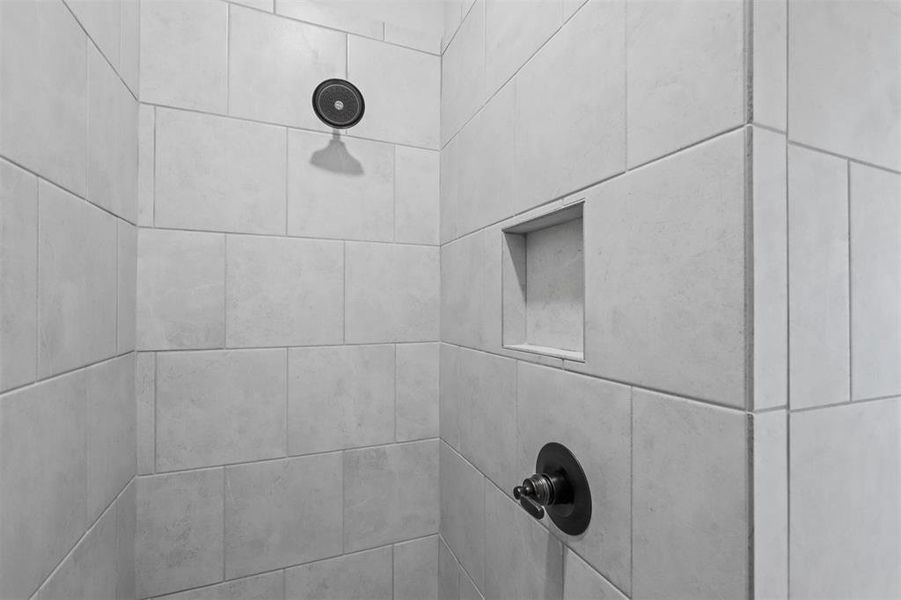 Interior details with tiled shower