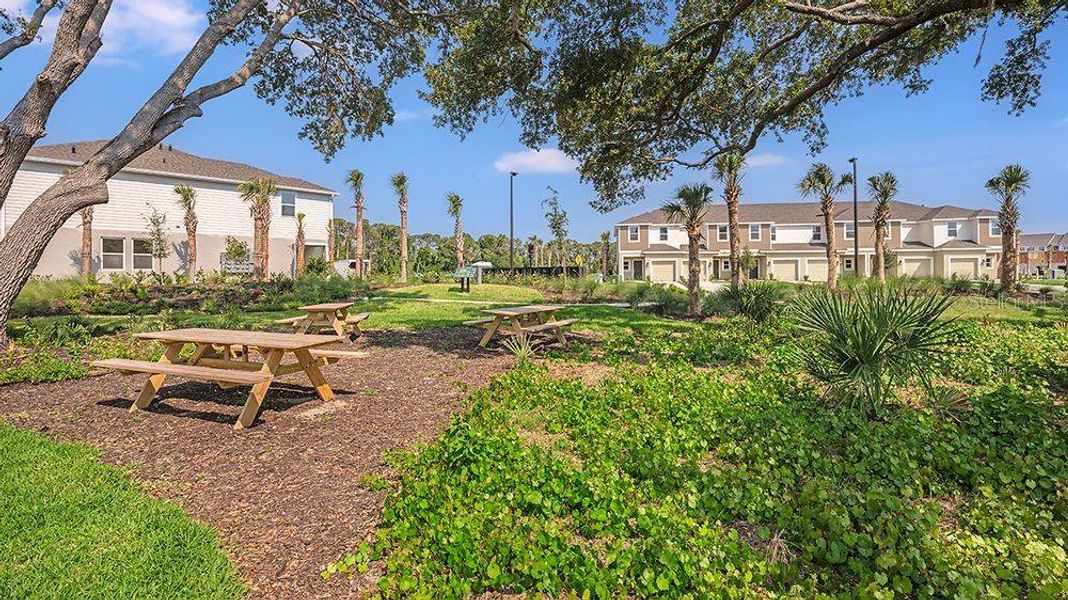 Community amenities in Vinterra Townhomes, Nokomis (Image 30).