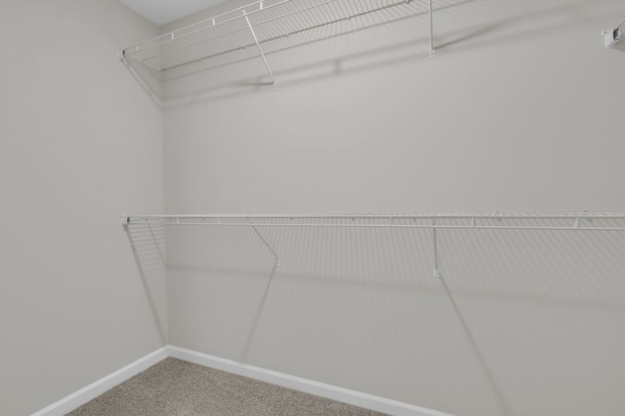 Image 41 representing the The Palmyra by RTS Homes in Doctor's Creek, Ludowici, GA.